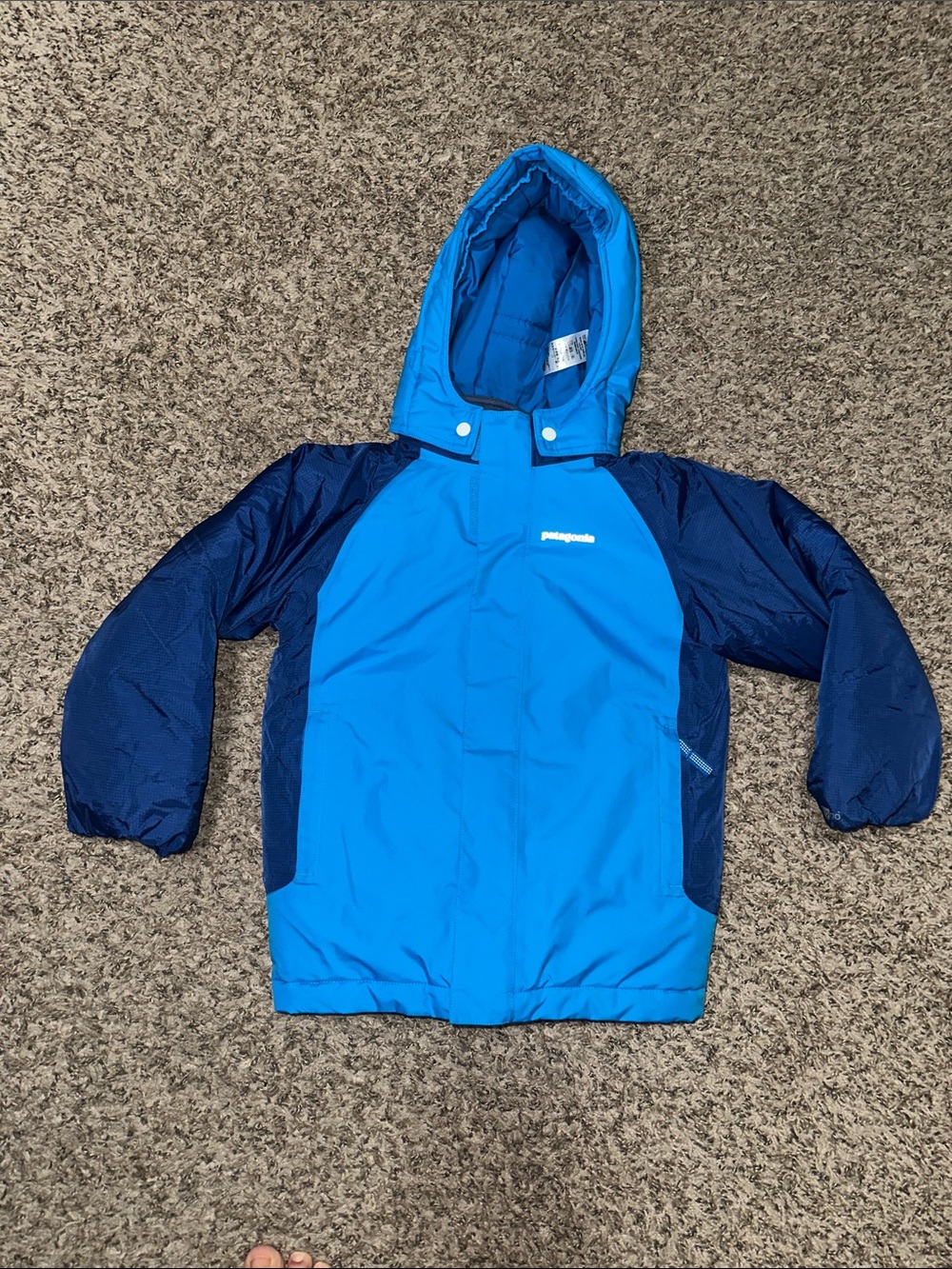 Patagonia Winter Puffer Jacket
